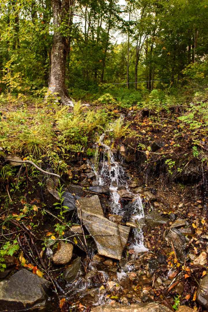 2022-09-14 La sucrière_093_RS